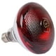 thumbnail image 1 of Bombilla para Ganado VentDepot InfraRedPro 10 Pzas 220V 250W 60Hz 5000hr Rosca E27 Luz Roja, 1 of 1