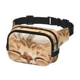 thumbnail image 2 of Balery Sleeping Cat In Blanket Mochila Cinturón para Mujeres y Hombres, Bolsa de Cintura Impermeable de Doble Capa con Correa, 2 of 9