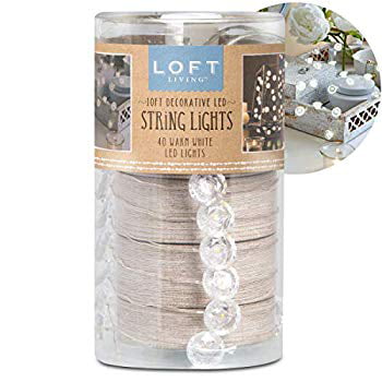 Loft Living Starfish Coral String Lights 10 Ft 40 Cool White Led Lights 3AA New 