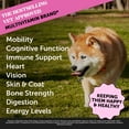 thumbnail image 2 of Pet Honesty Dog, 10 in 1 Multivitamin Mobility Immune Skin Coat Support Supplement w Glucosamine Probiotics and Omegas, Duck Flavor, 900 Count Soft Chews, 2 of 8