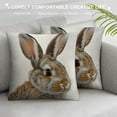 thumbnail image 3 of Bunny Pillow Covers, Easter Throw Pillows Cover, Bunny Pillow Covers " Reversible Decorative Pillowcase Cushion Cover for Sofa Bed,Farmhouse Kids Room Decor,Gift for Rabbit Lovers Kids, 3 of 5