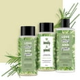 thumbnail image 3 of Love Beauty and Planet Tea Tree Oil & Vetiver Shampoo, 3 of 9