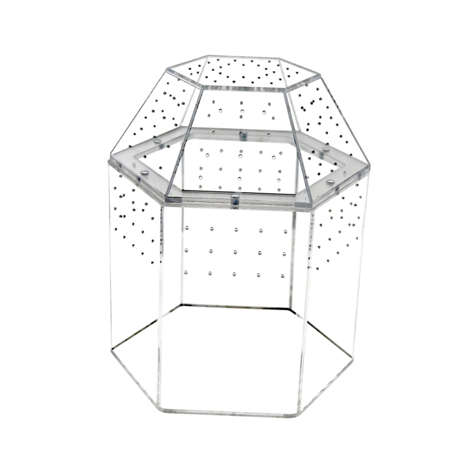 Reptile Tank Tarantula Enclosure Small Breeding Box Lightweight Acrylic Construction Suitable for Display and Desk Decor