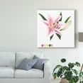 thumbnail image 3 of Trademark Fine Art 'Brighton Blooms II' Canvas Art by Naomi McCavitt, 3 of 4