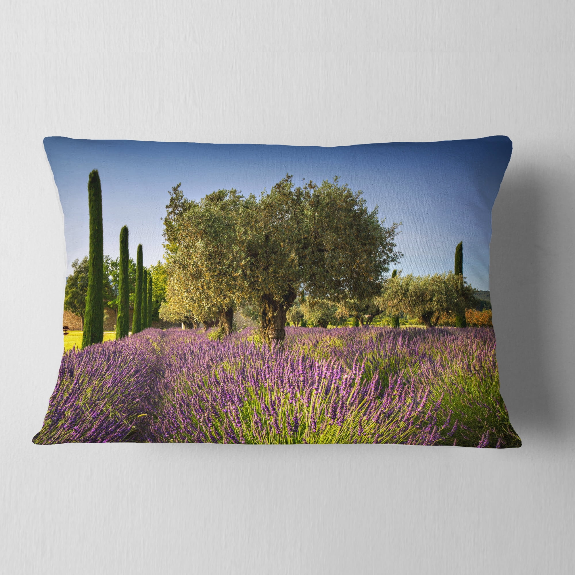 Designart Beautiful Lavender and Olive Trees - Flower Throw Pillow - 12x20