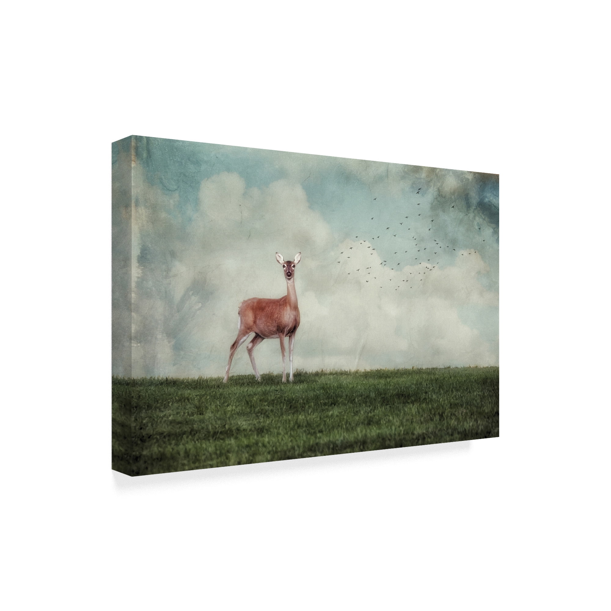 Trademark Fine Art 'Doe in the Meadow' Canvas Art by Lois Bryan