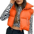 thumbnail image 2 of wsevypo Women Y2K Winter Crop Puffer Vest Warm Lightweight Sleeveless Down Jacket Full-Zip Stand Collar Padded Gilet, 2 of 5