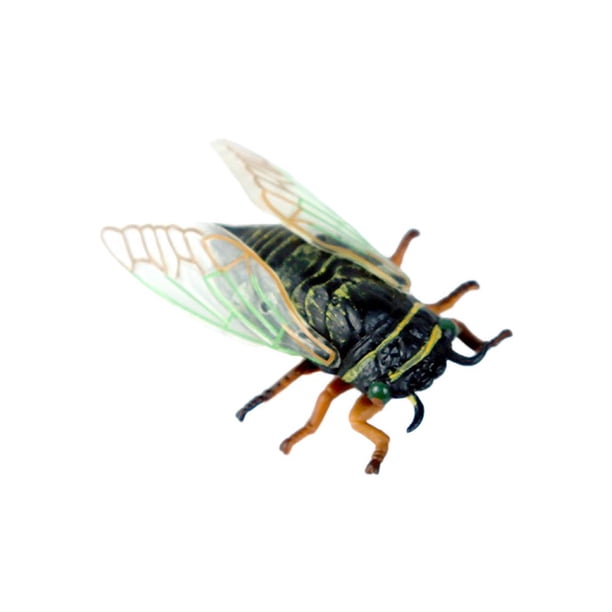 Modelo De Insecto Simulado Modelo De Insecto Realista Insecto De Plástico Y Decoración De Insectos Juguetes Para Niños Minnieouse FN007276-01