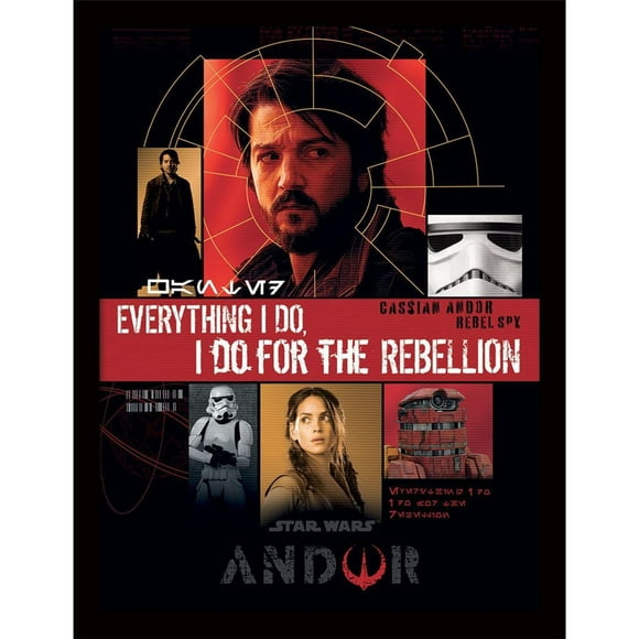 Star Wars: Andor For The Rebellion Framed Poster