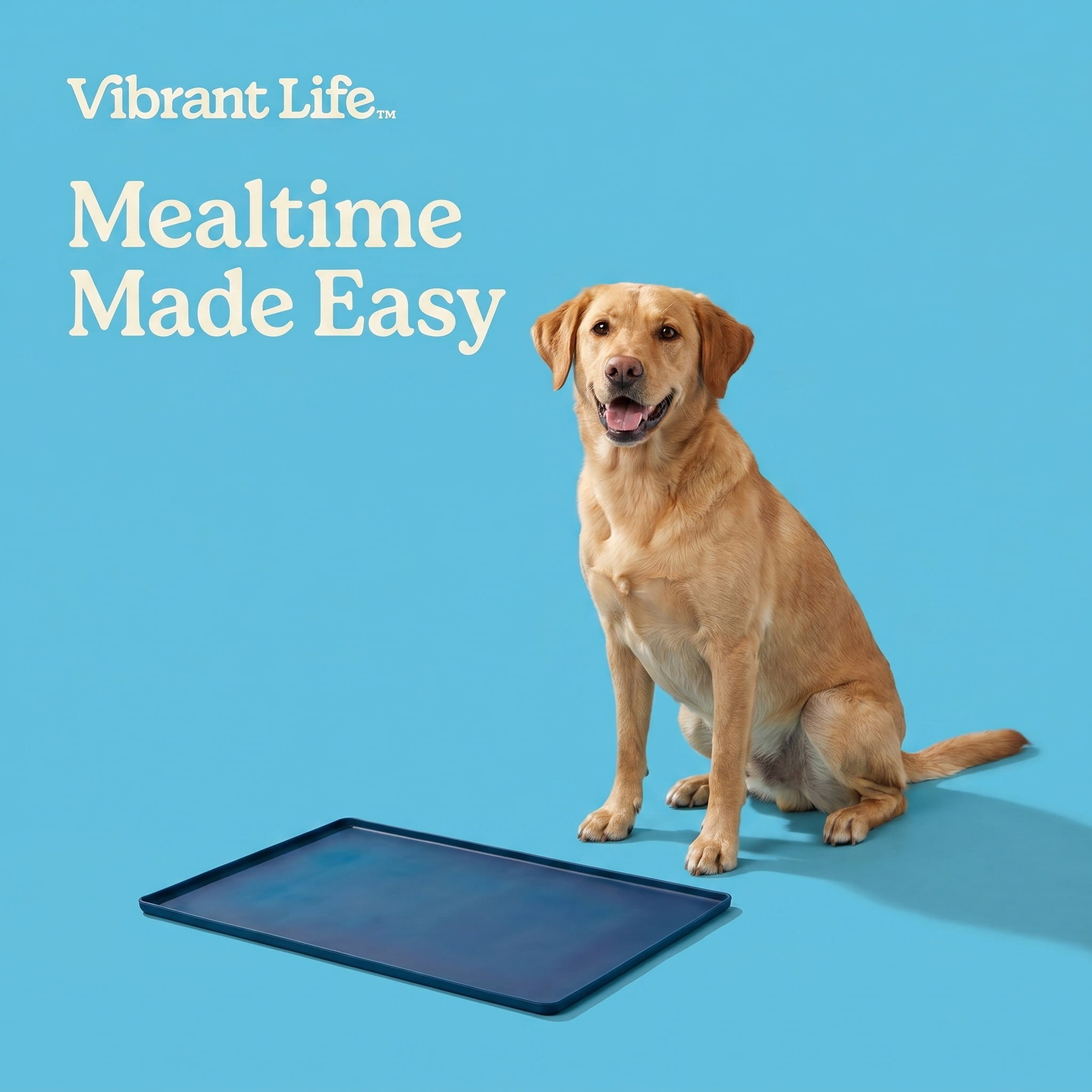 Vibrant Life Silicone Feeding Mat for Pets, Blue, 23.4 in x 15.75 in