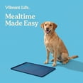 thumbnail image 4 of Vibrant Life Silicone Feeding Mat for Pets, Blue, 23.4 in x 15.75 in, 4 of 10
