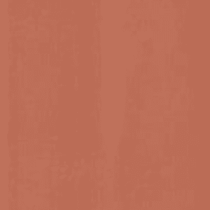 BARELY NUDE