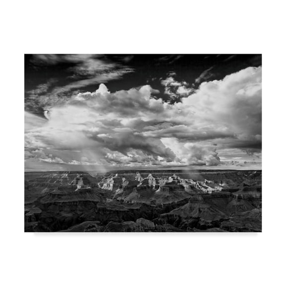 Trademark Fine Art Landscape Canvas Art ' Black And White Desert View Iv ' by David Drost