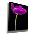 thumbnail image 2 of Epic Graffiti 'Purple Tulip Glow' by Pamela Plummer, Canvas Wall Art, 20"x24", 2 of 8