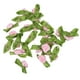 thumbnail image 1 of Bewildely 100 pack/lote hermosas flores de cinta de satén para decoraciones impresionantes flores fáciles de decorar Decoración del hogar rosa, 1 of 6