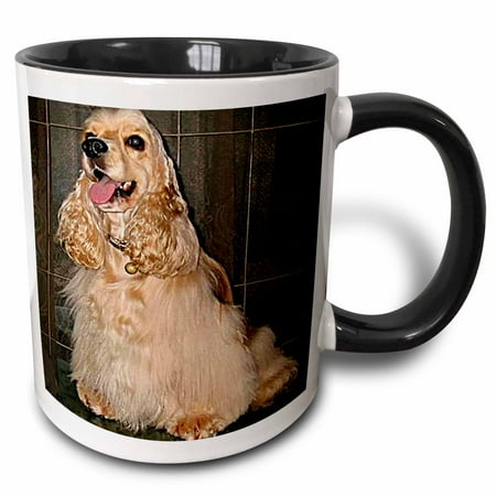 Cocker Spaniel Treat - 3dRose Cocker Spaniel - Two Tone Black Mug, 11-ounce