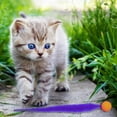 thumbnail image 6 of Cat Interactive Toys Cat Colorful Bouncing Ball Pet Supplies Puzzle Teasing, 6 of 8