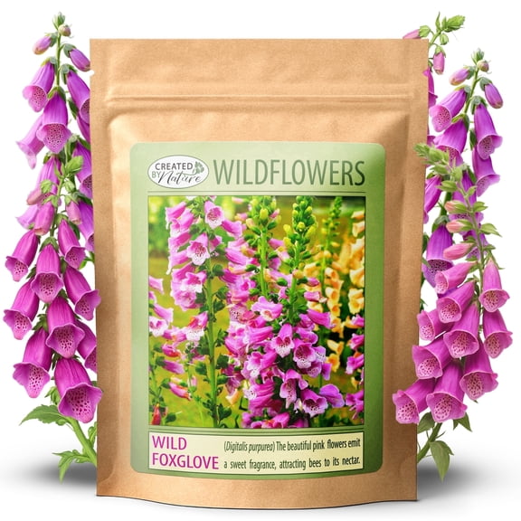 Created by Nature Foxglove Seeds, 62,700 Perennial Seeds, Purple, Pink, and White Flowers