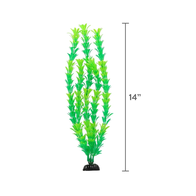 Vibrant Life Large/X-Large Plant Set, Green, 4 Pieces photo 5