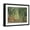 Black Frame, variant on Art.com Olive Grove in the Moreno Garden, 1884 Giclee Print by Claude Monet, Black Frame Wall Art, 21" x 17"