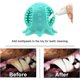 thumbnail image 4 of UBIUO Dog Chew Toys, Cute Squeak Floating Octopus Dog Toys, Teeth Cleaning Toys, Summer Dog Water Sport Toys, Interactive Toys for Small Medium Breed, 4 of 4