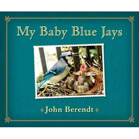 My Baby Blue Jays