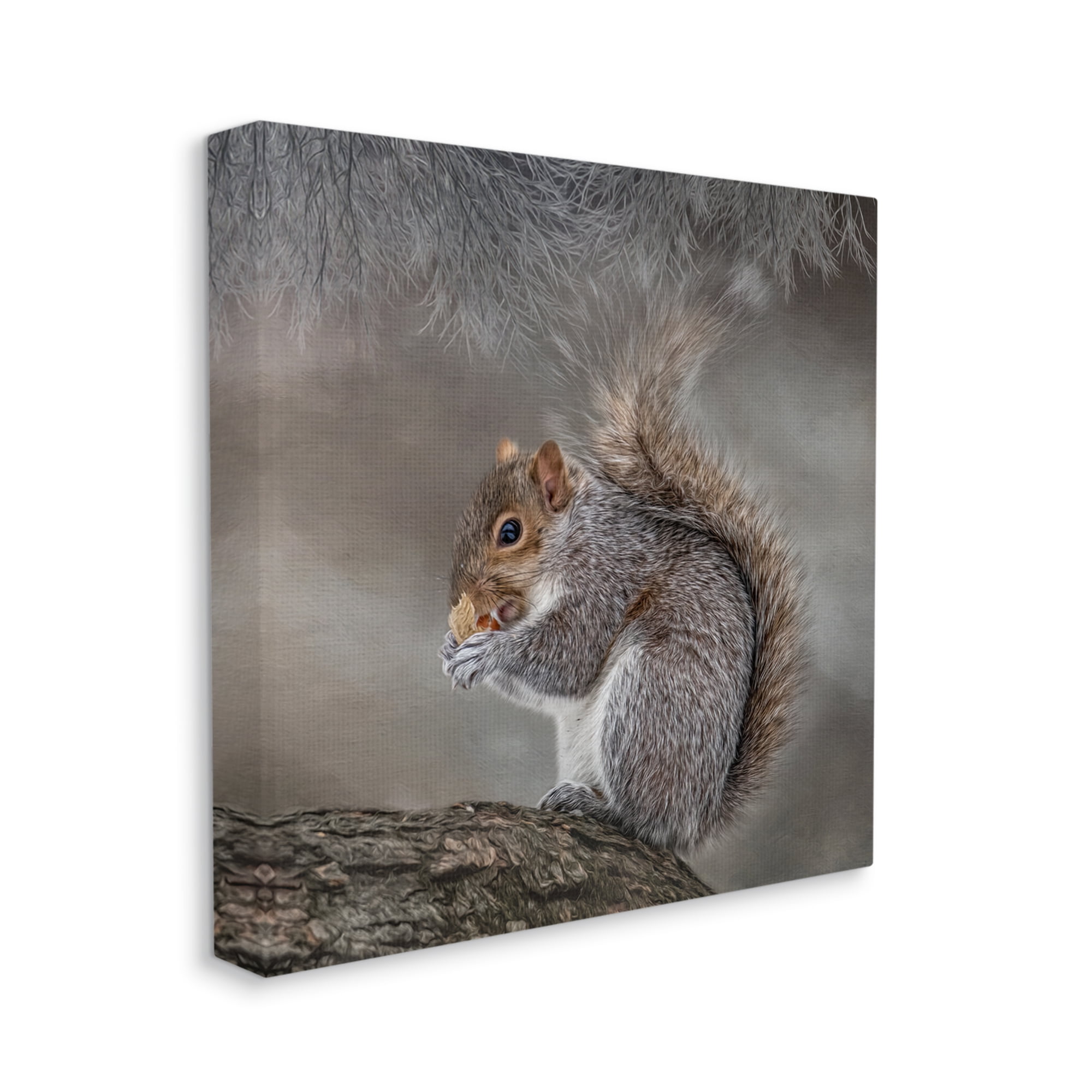 Stupell Woodland Wildlife Squirrel Photography Animals & Insects Photography Gallery Wrapped Canvas Print Wall Art