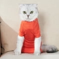 thumbnail image 2 of Labymos Pet Recovery Suit Four Legs Abdominal Wound Jacket for Cats, 2 of 8