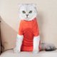 thumbnail image 5 of Traje de recuperación para mascotas, chaqueta para heridas abdominales de cuatro patas para gatos, 5 of 8