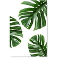 thumbnail image 1 of Awkward Styles Palm Leaves Poster Art Green Plants Poster Wall Decor Inspirational Poster Prints for Office Foliage Decor Green Grass Inspirational Vinyl Art Beautiful Nature Art Home Decor Ideas, 1 of 3