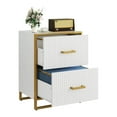 thumbnail image 6 of Dextrus 2 Drawer File Cabinet with Metal Legs , Wood Lateral Filing Cabinet Printer Stand Fits A4 Letter Legal Size Files for Home Office, White & Gold, 6 of 13
