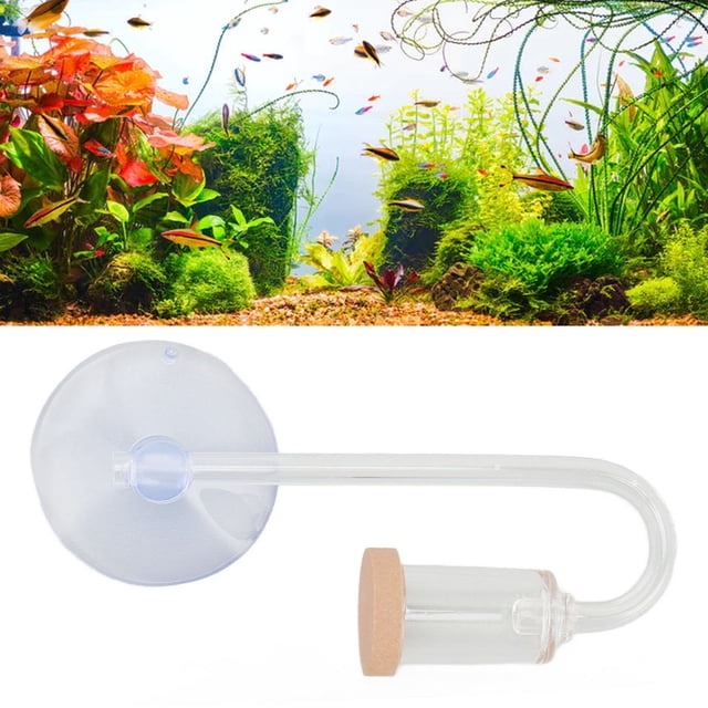 Difusor de CO2 del Acuario, Tanque de Pescado CO2 Refinador de Agujeros Microscópicos Slippy Sproty Clear Glass Mini Accessorios de Tanques Plantados por Acuario