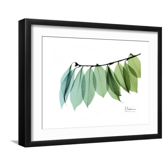 Art.com Camelia Leaf Green_Blue Premium Giclee Print by Albert Koetsier, Black Frame Wall Art, 21" x 17"