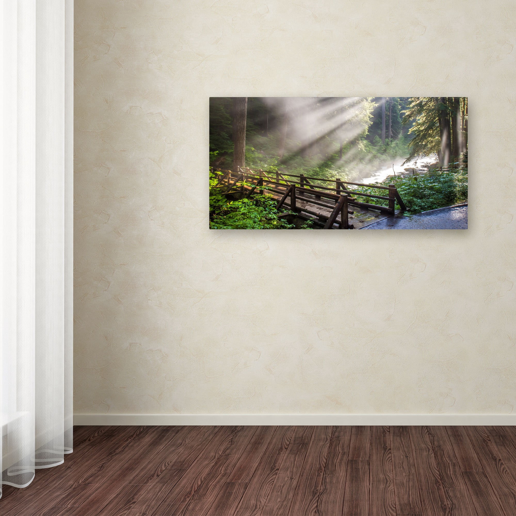Trademark Fine Art "Forest Sunlight" Canvas Art by Pierre Leclerc