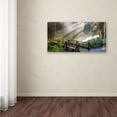 thumbnail image 4 of Trademark Fine Art "Forest Sunlight" Canvas Art by Pierre Leclerc, 4 of 4