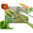 thumbnail image 2 of Caroline's Treasures Jay Glass Cutting Board Large, 2 of 2