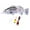 Light Gray2, variant on Electric Swimming Fishing Lure - 3D Lifelike Robotic Bait for Freshwater & Saltwater, Auto-Swim Technology for Beginners & Professional Anglers
