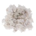 thumbnail image 1 of Preserved Fresh Moss DIY Floral Material Accessory Beautiful Decoration for Wedding Party Garden 50g (White), 1 of 3