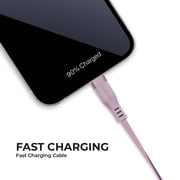 Liquipel Powertek Two Tone USB-A to USB-C - Purple