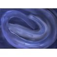 thumbnail image 1 of Ahgly Company Machine Washable Indoor Rectangle Transitional Denim Dark Blue Area Rugs, 8' x 12', 1 of 7