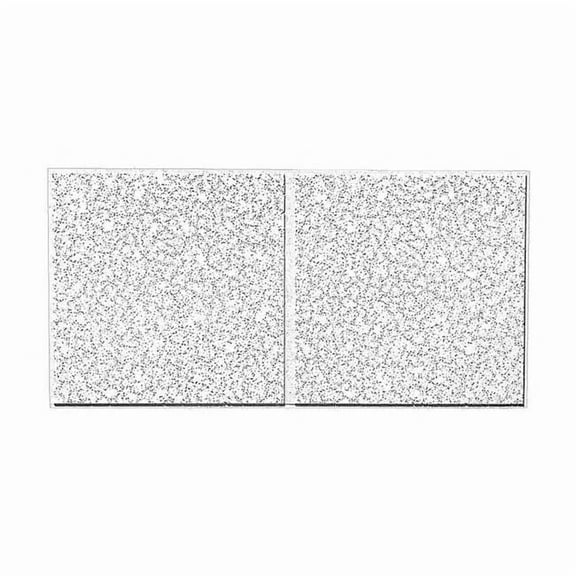 Armstrong Ceiling Tile,48 in L,24 in W,PK8 2758C