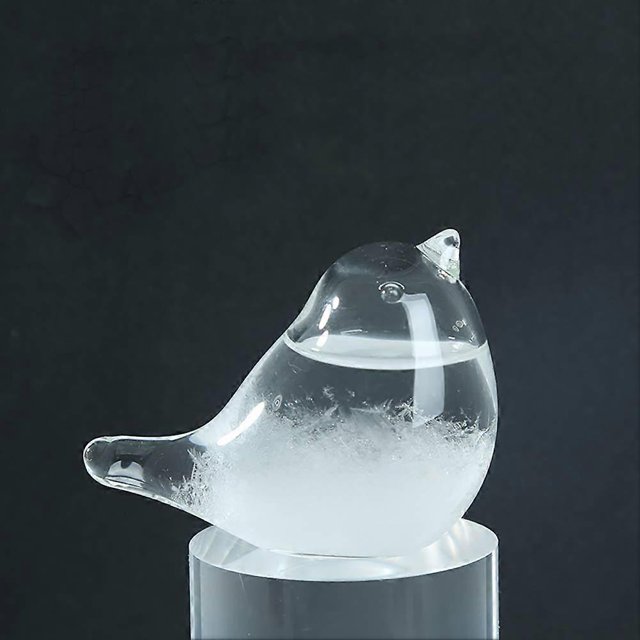 Bird Storm Glass Weather Forecast, Creative Stylish Weather Station Forecaster Storm Glass Bottles Barometer, Desktop Decoration Crafts Look Up