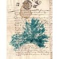thumbnail image 3 of Vision Studio 15x18 Black Modern Framed Museum Art Print Titled - Vintage Teal Seaweed III, 3 of 5