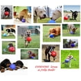 thumbnail image 3 of Floating Interactive Rope Dog Horse Toys Romp and Roll Dog Water Tug (Medium - Blue), 3 of 9