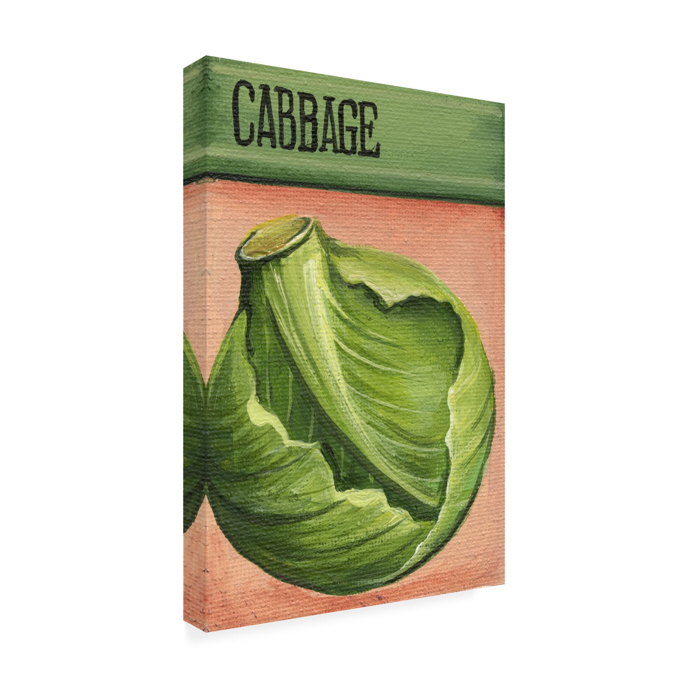 Canvas Wall Art - Debbi Wetzel 'Seed Packets 29 - Cabbage' Wall Art for Living Room, Bedroom, or Office Décor by Trademark Fine Art - 16 x 24 Inches