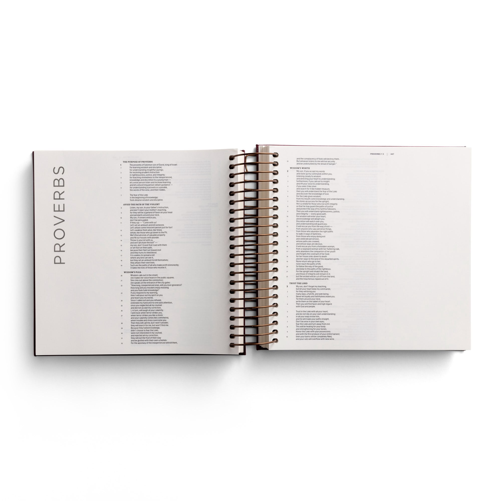 Illustrating Bible CSB - Spiral Bound Bible Journal, Cranberry, (Spiral-Bound)