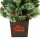 thumbnail image 3 of Arbolito Holiday Time Con 50 Luces LED Blanco Cálido, 3 of 4