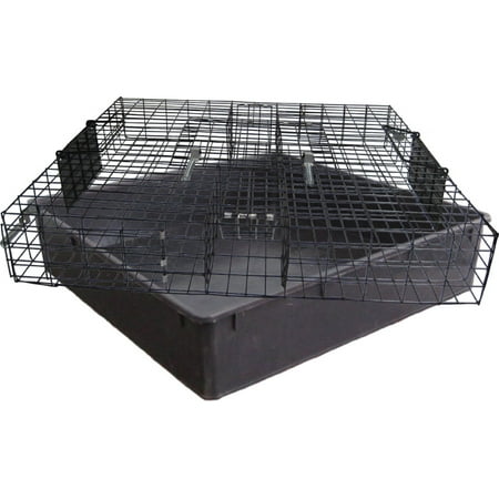 THE SQUIRRELINATOR LIVE SQUIRREL TRAP WITH BASIN (Best Live Squirrel Trap)