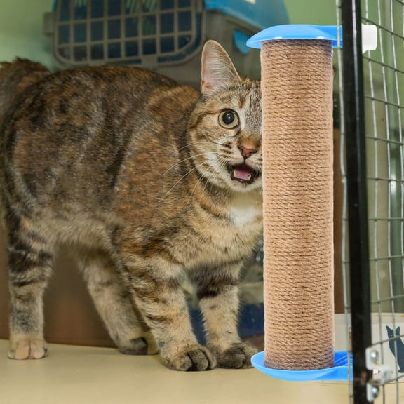 WRITWAA Space Saving Cat Scratching Post Replacement Pole for Cage, Sky Cat Toy Accessory