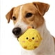 thumbnail image 1 of Juguete interactivo para perros con sonido y pelota de tela suave con púas para la dentición | Juguete de rebote alto para cachorros | Juguete para masticar para perros pequeños, medianos y grandes, 1 of 5